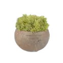 Greenary Category Menu