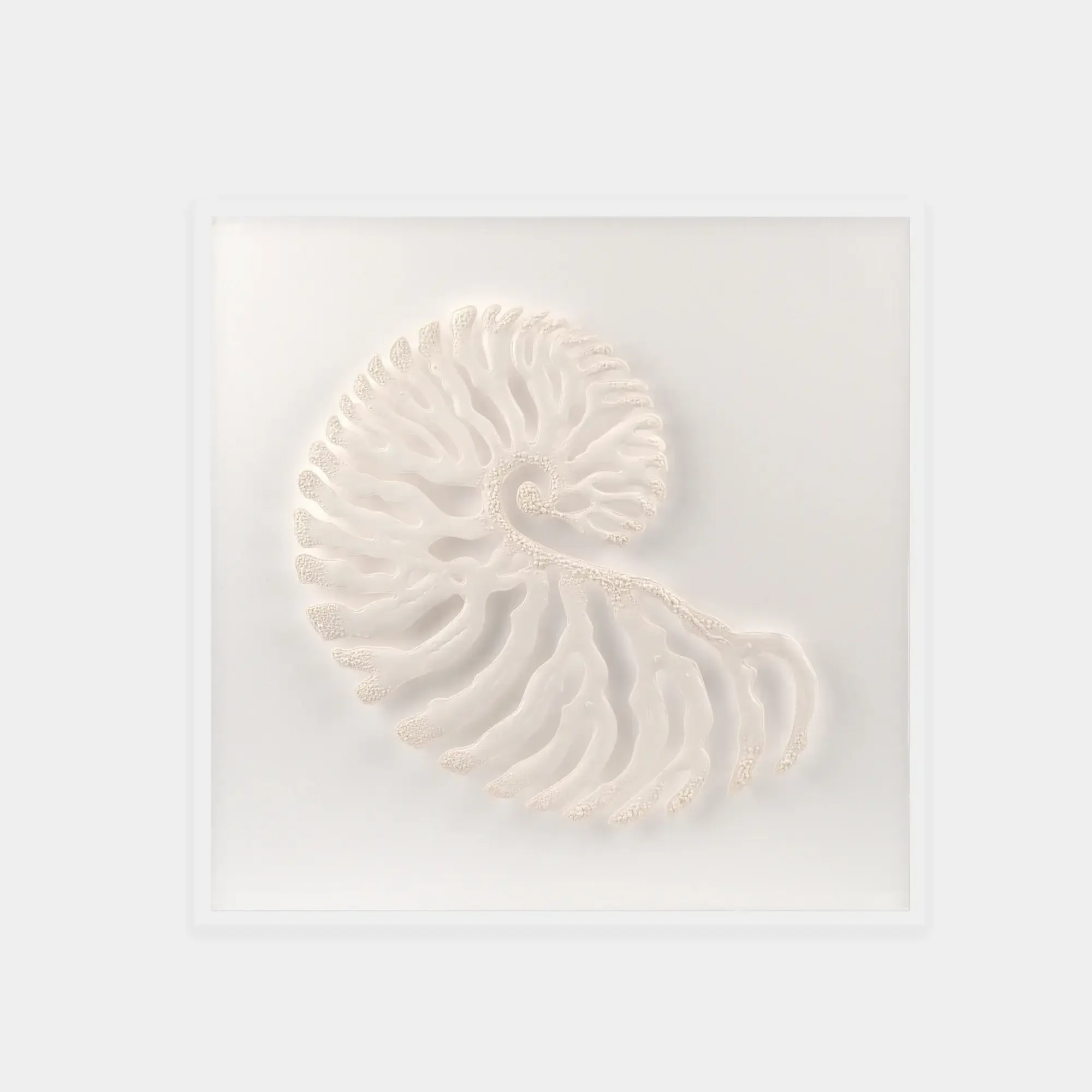 Abstract White Coral Wall Art 2 — original wall art