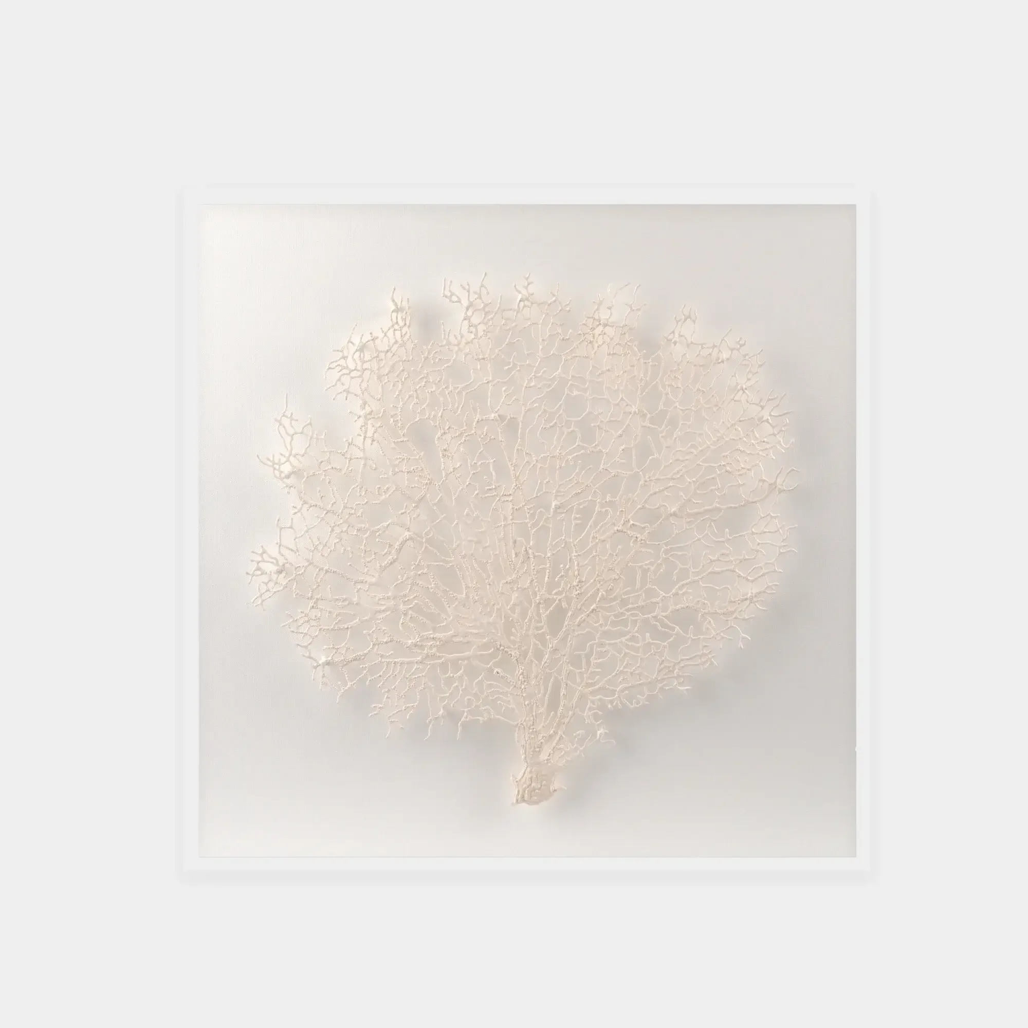 Abstract White Coral Wall Art 7 — original wall art