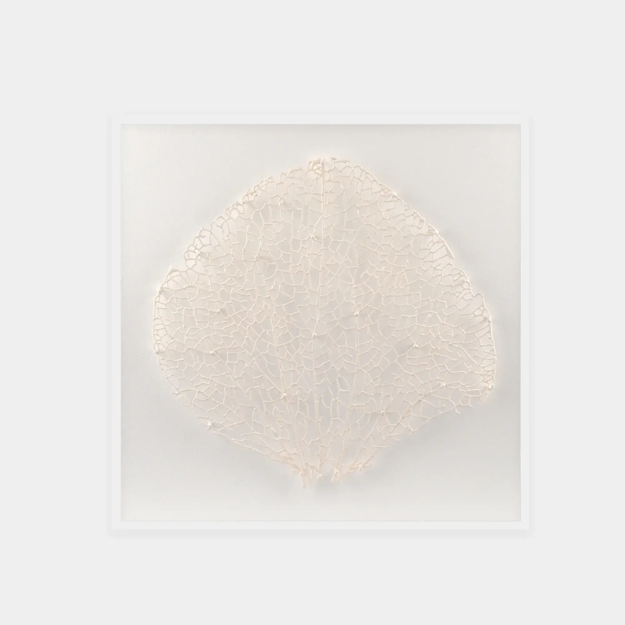 Abstract White Coral Wall Art 8 — original wall art