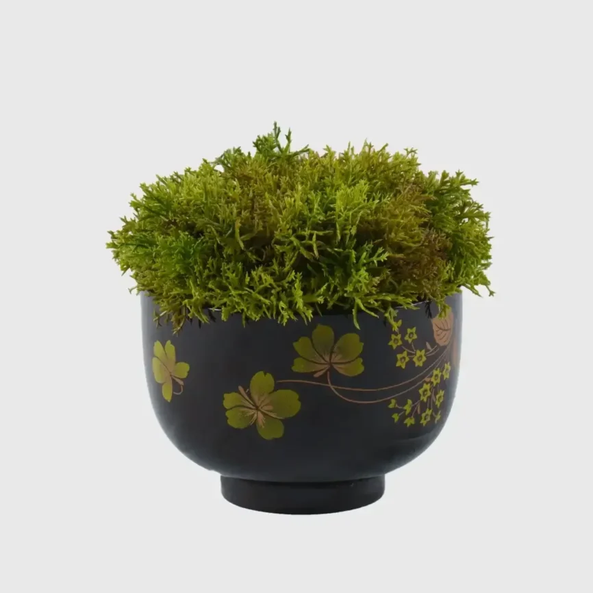 Black Ceramic Bowl with Moss — decorative ceramic & porcelain