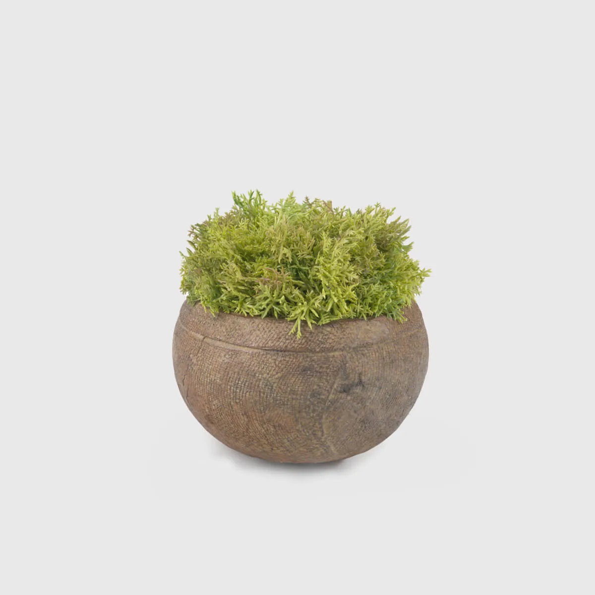 Bronze Lava Greenery Bowl, Bronze Nera finish
