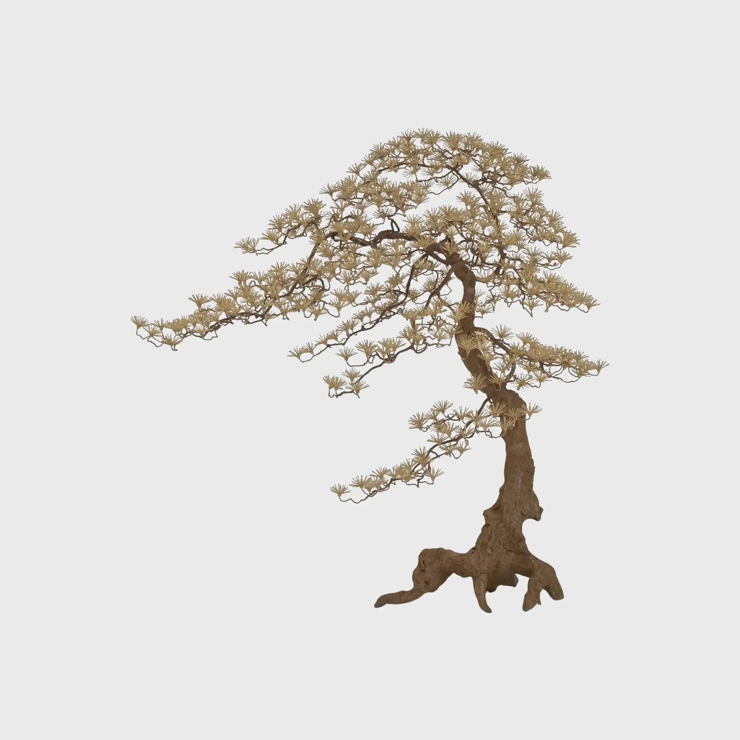 Bronze Tree Bonsai Sculpture, Bronze Dorato finish