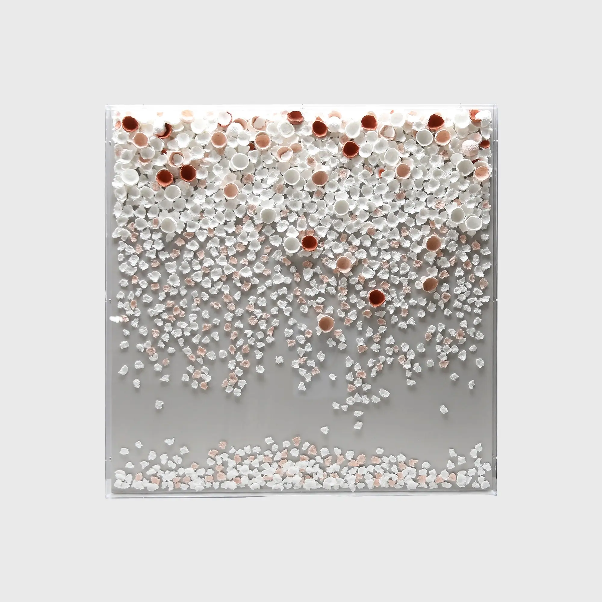 Cascade Paper Petals 3D Art — latest design