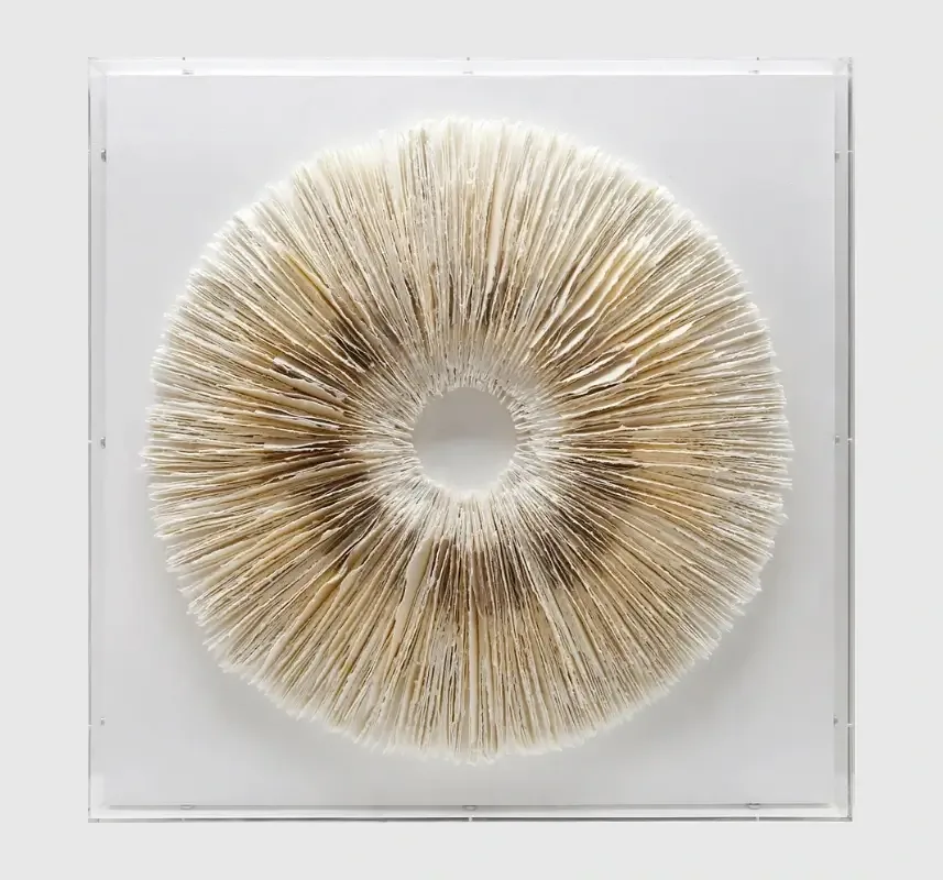 Circle of Stillness Handmade Dimensional Paper Wall Sculpture, 100×8×100 cm