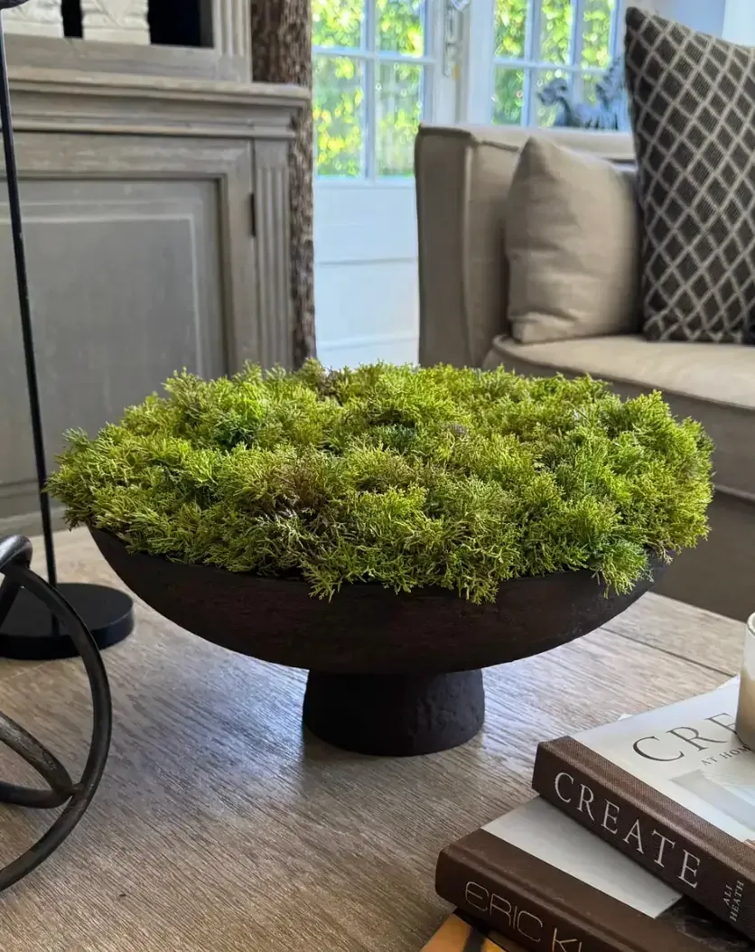 Curly Moss in a Brown Footed Stone Bowl — greenery