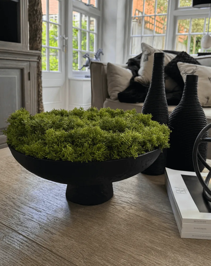 Curly Moss in a Matt Black Stone Footed Bowl — greenery