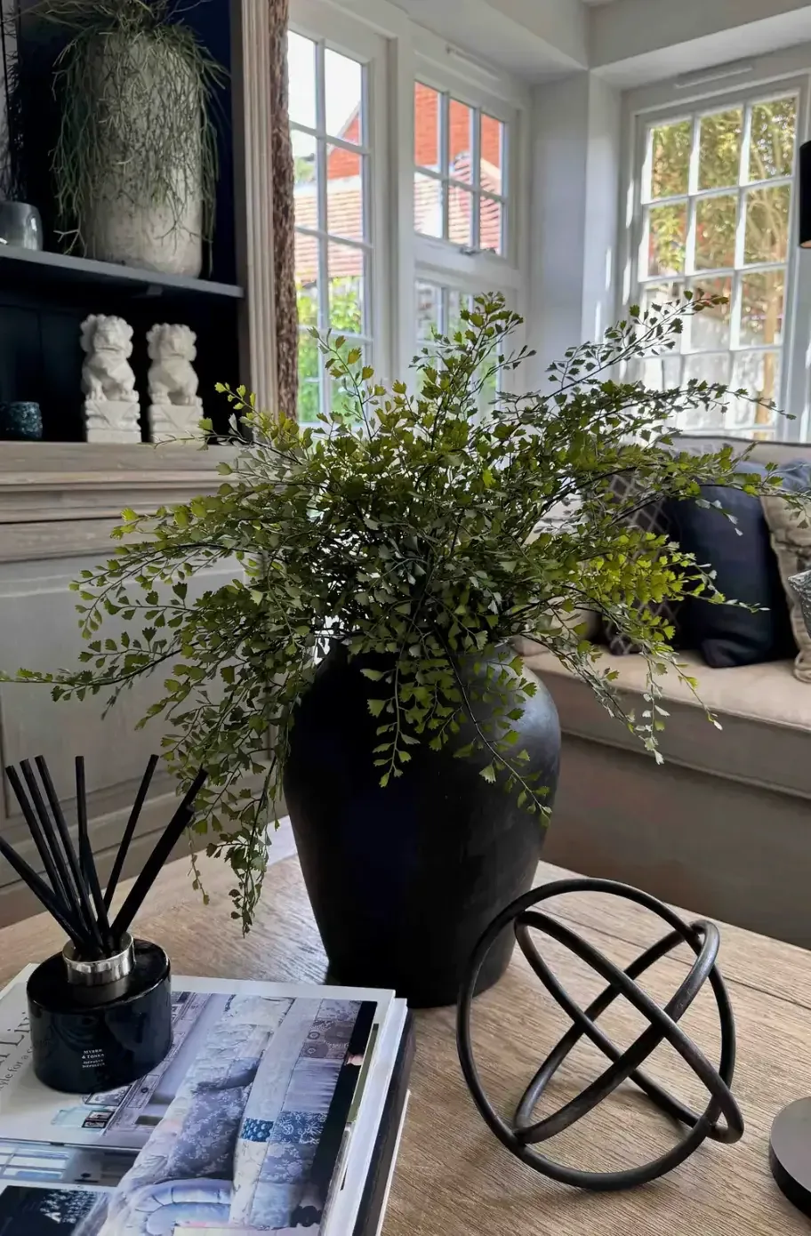 Maidenhair Fern in a Black Terracotta Pot — greenery