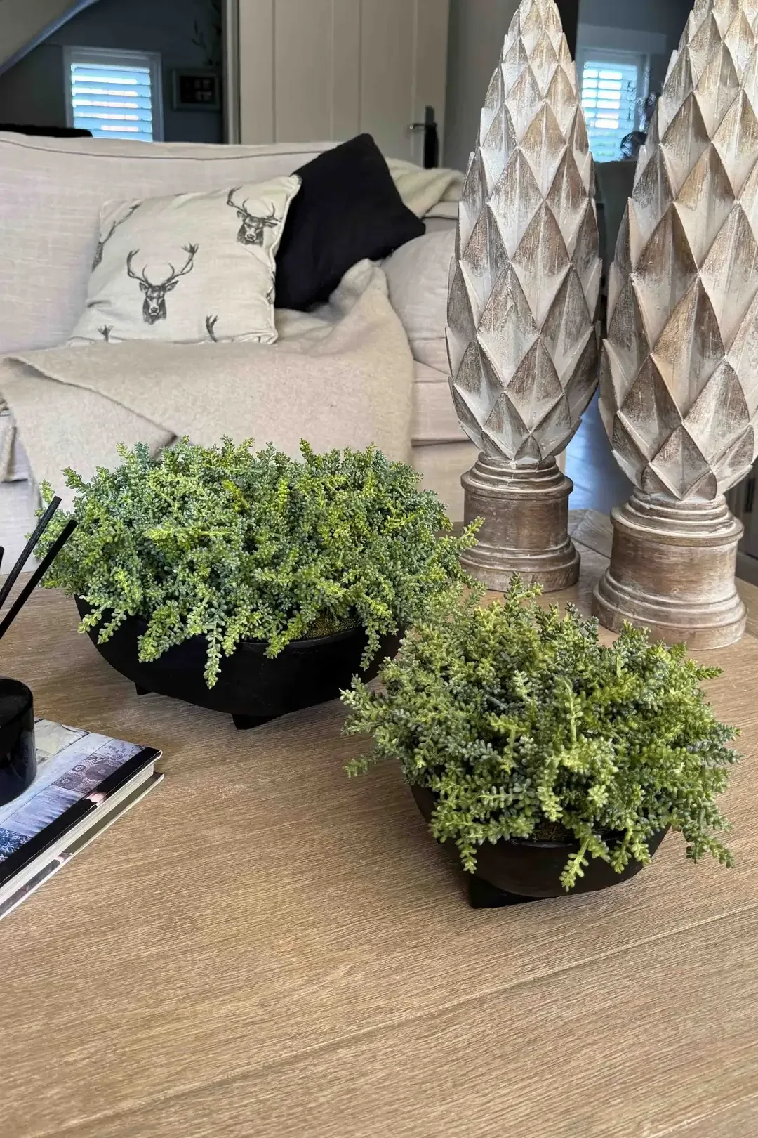 Mini Plant in a Black Footed Bowl — greenery