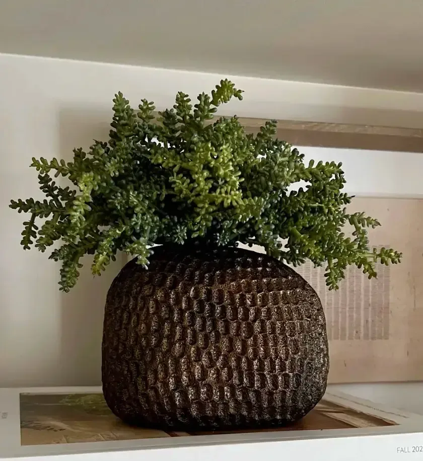 Mini Plant in a Bronze Dimpled Vase — greenery
