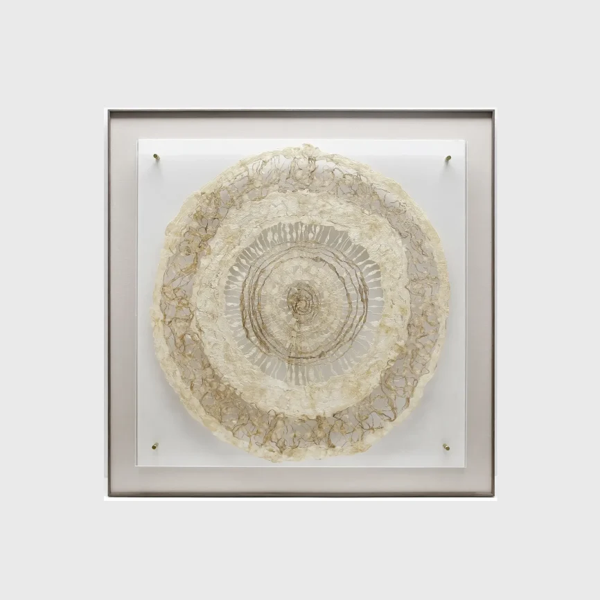 Moonlace - Handmade Dimensional Paper Wall Sculpture, 110.6×6×110.6 cm