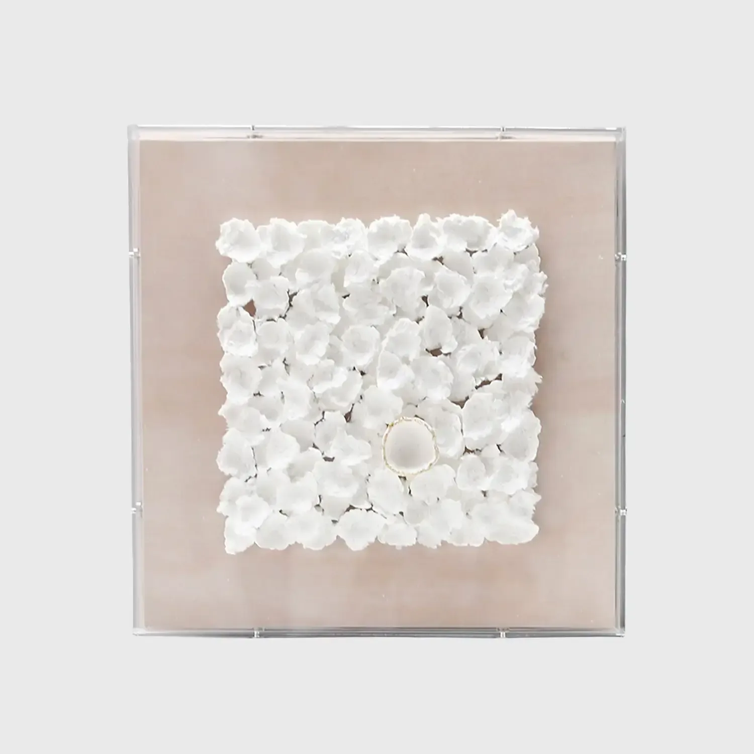 Petalcrest Handmade Dimensional Paper Wall Art — latest design