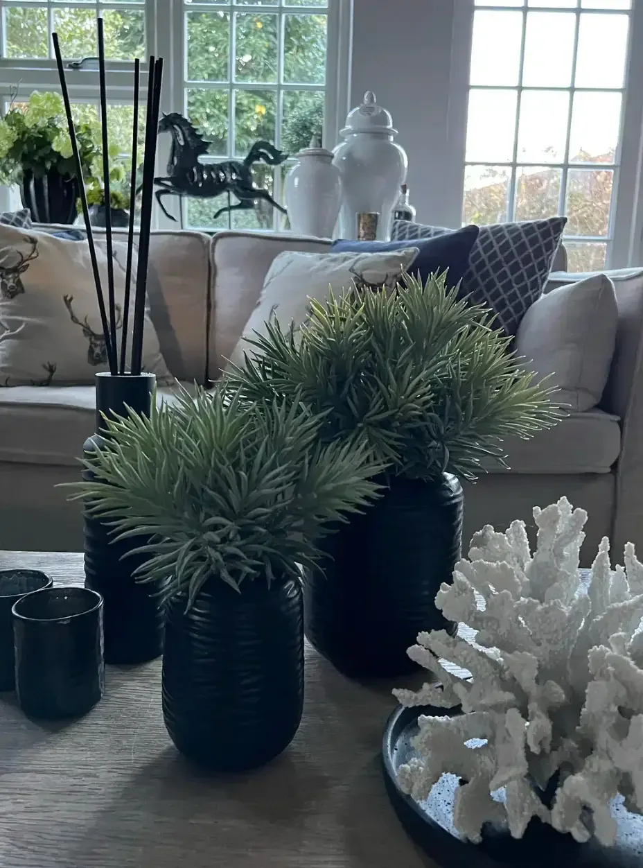 Spiky Succulents in a Carved Glass Vase — greenery