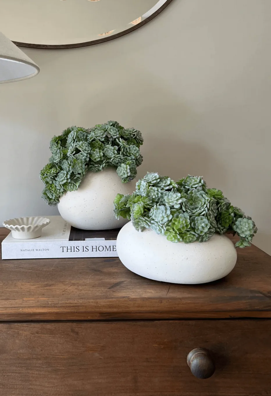 Succulent Bush in a Matt Cream Vase — greenery