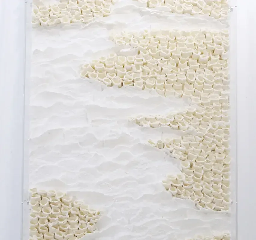 Terracurve Sculptural Paper Wall Art B — Introducing Terracurve – a captivating vertical wall sculpture crafted from…