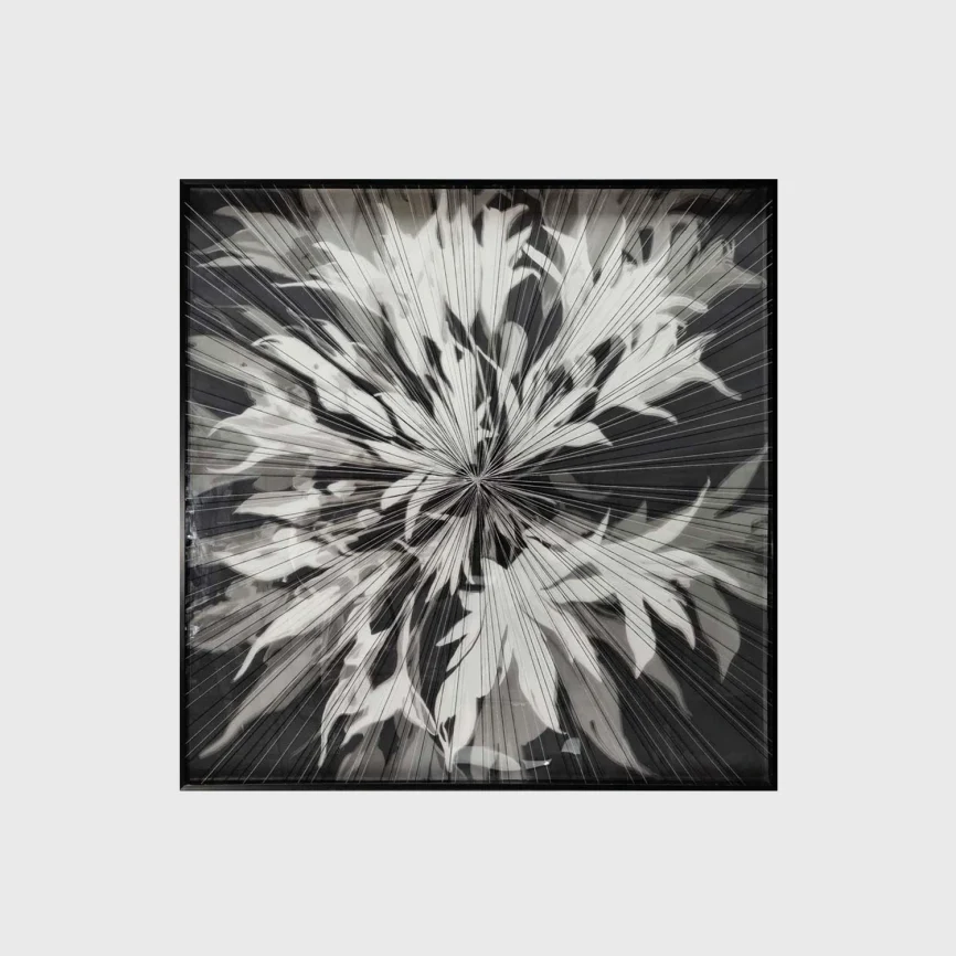 Afterglow Wall Art